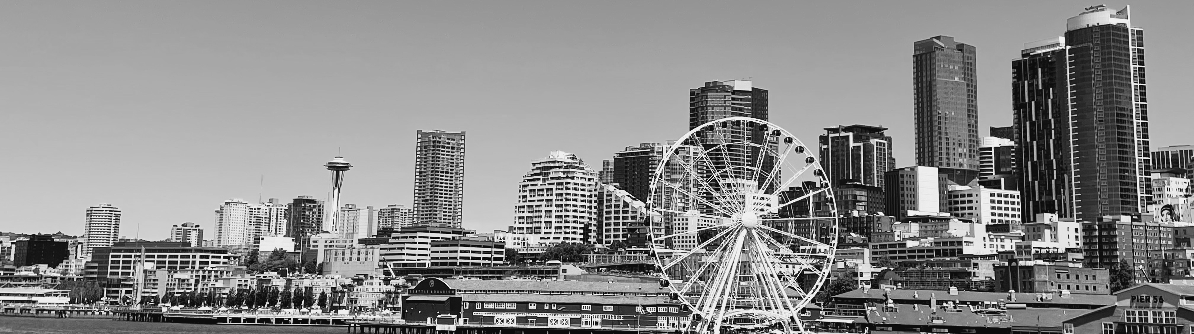 [ Photo of the Downtown and Waterfront, Seattle City Skyline, taken by Sara Eatherton-Goff from the Bainbridge Island Ferry, 2021 ]